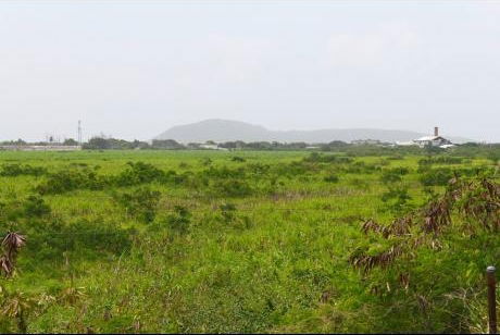 How to Buy Crown Land in Jamaica? 4 crown land JA