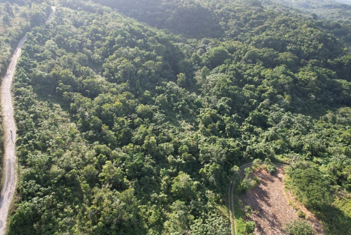 Second image of Lot# 93 Southfield Estat in Runaway Bay, St. Ann, Jamaica - property is For Sale