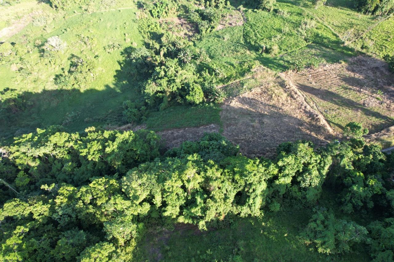 7-Acre-Development-Land-for-Sale-in-Southfield-Estate-Jamaica Fourth image of Lot# 93 Southfield Estat in Runaway Bay, St. Ann, Jamaica - property is For Sale