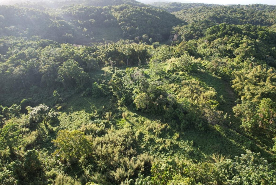 Sixth image of Lot# 93 Southfield Estat in Runaway Bay, St. Ann, Jamaica - property is For Sale