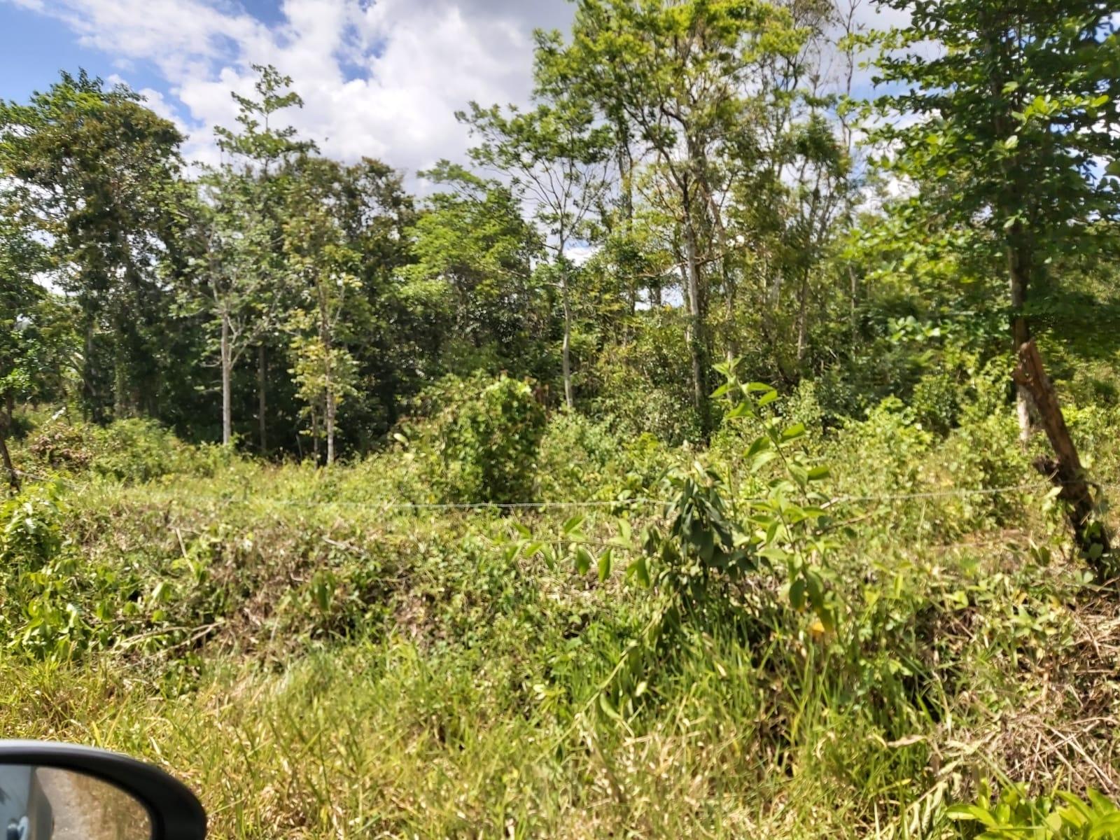 Second image of Lot #72 Content Hanover in Content, Hanover, Jamaica - property is For Sale