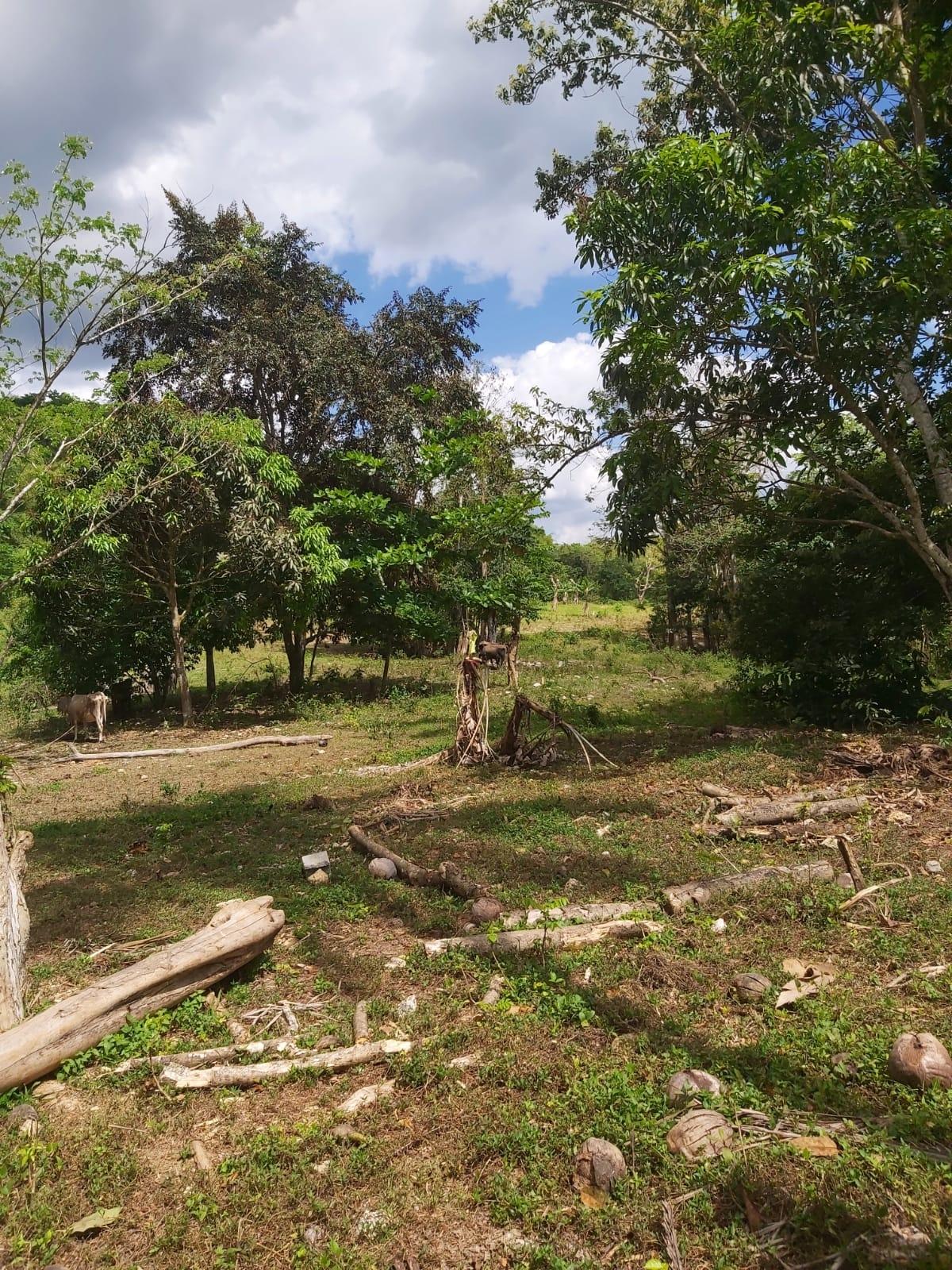Twelfth image of Lot #72 Content Hanover in Content, Hanover, Jamaica - property is For Sale