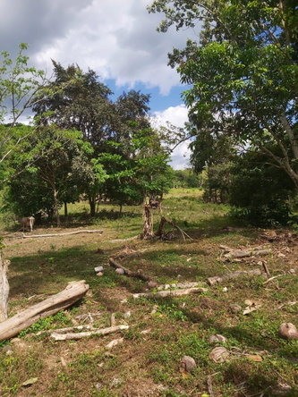 Twelfth image of Lot #72 Content Hanover in Content, Hanover, Jamaica - property is For Sale