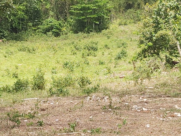 Seventeenth image of Lot #72 Content Hanover in Content, Hanover, Jamaica - property is For Sale