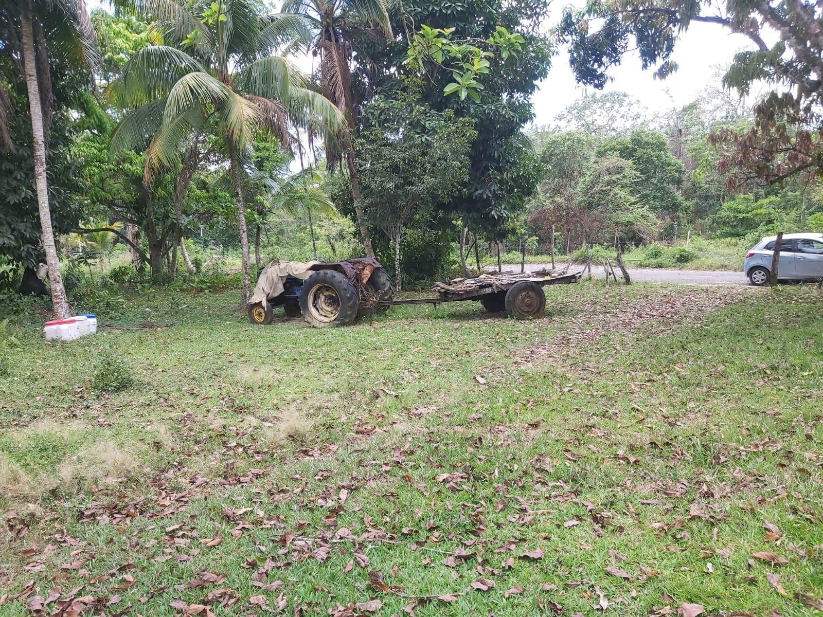 Nineteenth image of Lot #72 Content Hanover in Content, Hanover, Jamaica - property is For Sale