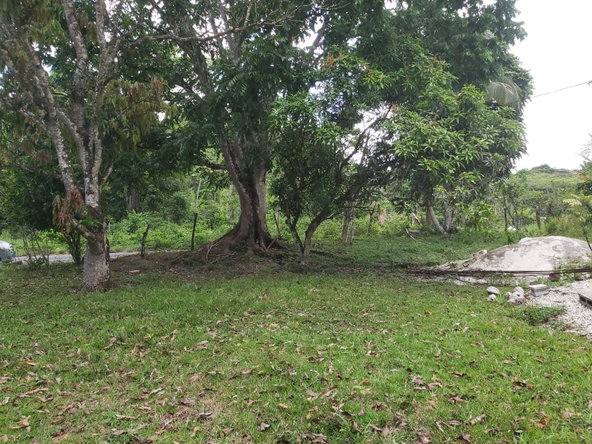 Twentieth image of Lot #72 Content Hanover in Content, Hanover, Jamaica - property is For Sale