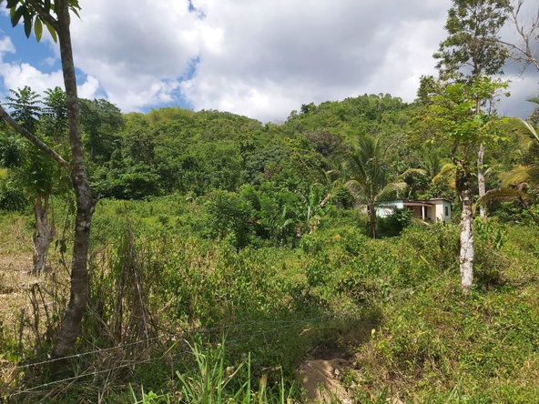 Third image of Lot #72 Content Hanover in Content, Hanover, Jamaica - property is For Sale