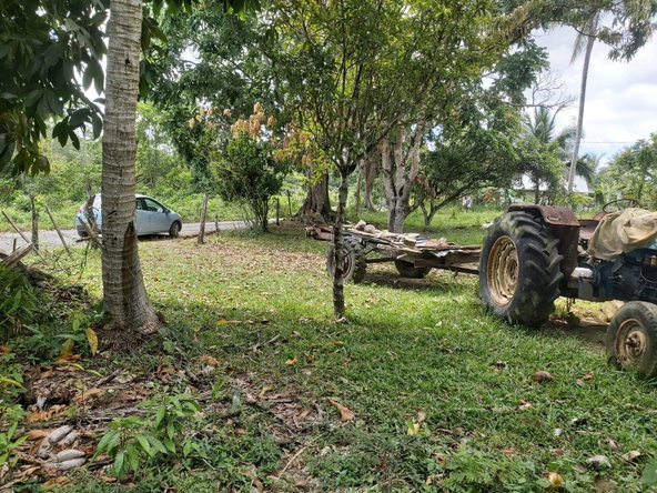 Twenty-Fourth image of Lot #72 Content Hanover in Content, Hanover, Jamaica - property is For Sale