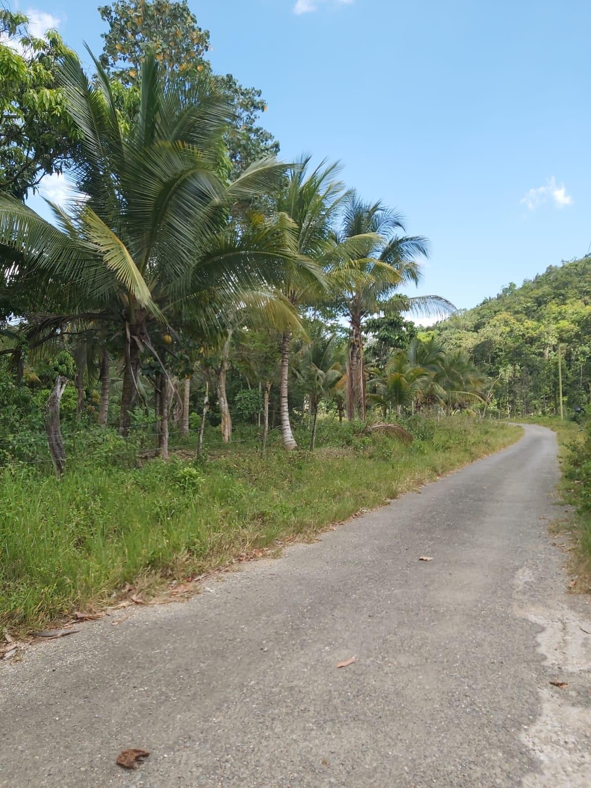 Twenty-Fifth image of Lot #72 Content Hanover in Content, Hanover, Jamaica - property is For Sale