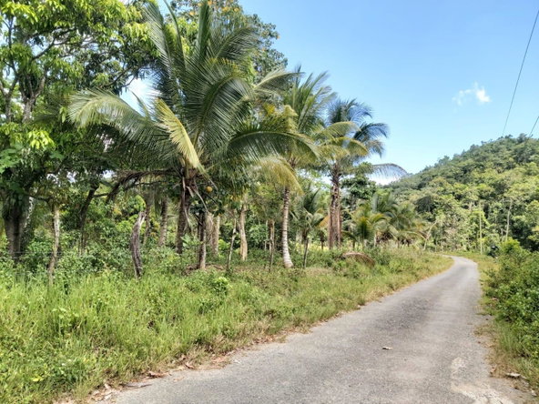 Twenty-Sixth image of Lot #72 Content Hanover in Content, Hanover, Jamaica - property is For Sale