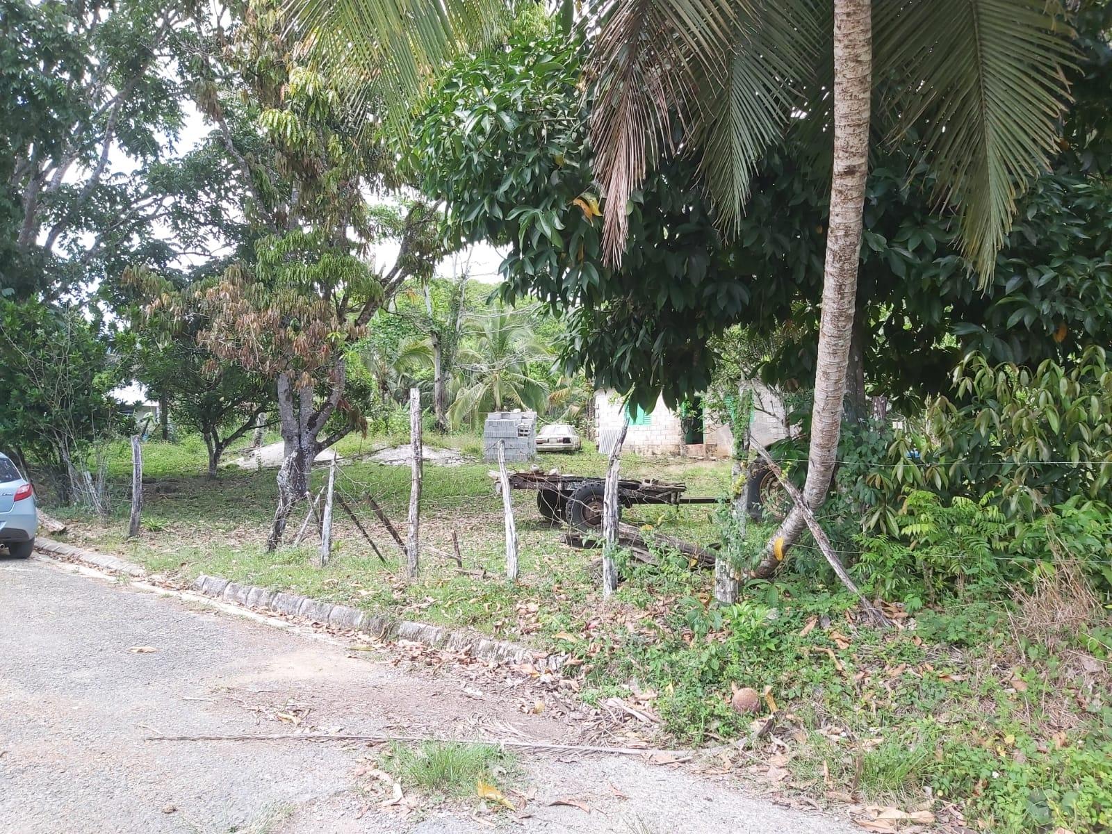 Twenty-Seventh image of Lot #72 Content Hanover in Content, Hanover, Jamaica - property is For Sale