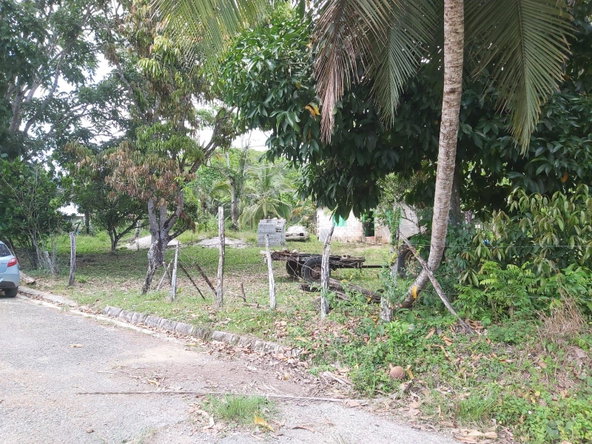 Twenty-Seventh image of Lot #72 Content Hanover in Content, Hanover, Jamaica - property is For Sale