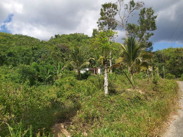 Fourth image of Lot #72 Content Hanover in Content, Hanover, Jamaica - property is For Sale