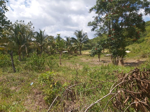 Fifth image of Lot #72 Content Hanover in Content, Hanover, Jamaica - property is For Sale