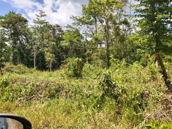 Sixth image of Lot #72 Content Hanover in Content, Hanover, Jamaica - property is For Sale