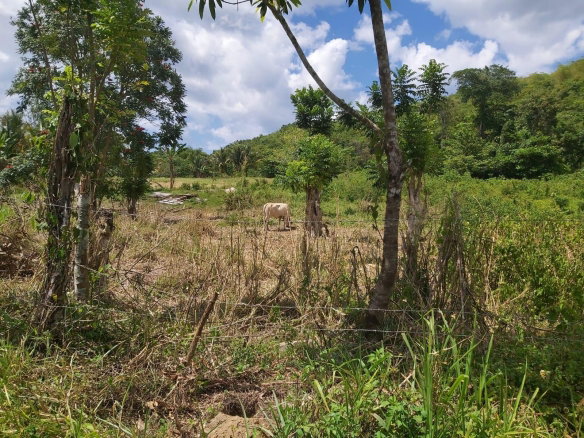 First image of Lot #72 Content Hanover in Content, Hanover, Jamaica - property is For Sale