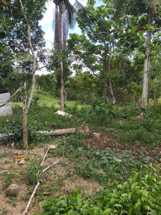 Seventh image of Lot #72 Content Hanover in Content, Hanover, Jamaica - property is For Sale
