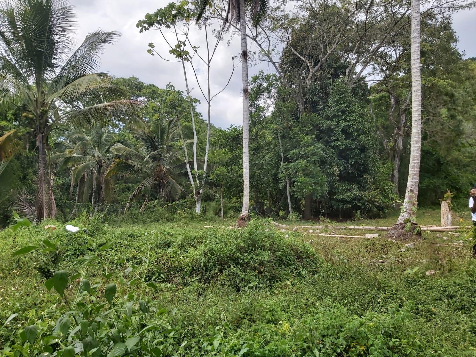 Ninth image of Lot #72 Content Hanover in Content, Hanover, Jamaica - property is For Sale