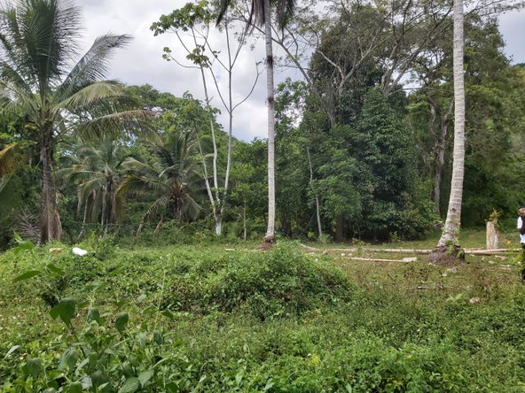 Ninth image of Lot #72 Content Hanover in Content, Hanover, Jamaica - property is For Sale