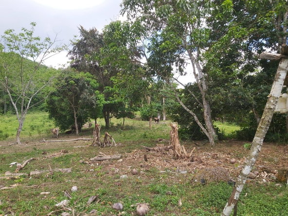 Tenth image of Lot #72 Content Hanover in Content, Hanover, Jamaica - property is For Sale