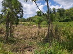 First image of Lot #72 Content Hanover in Content, Hanover, Jamaica - property is For Sale