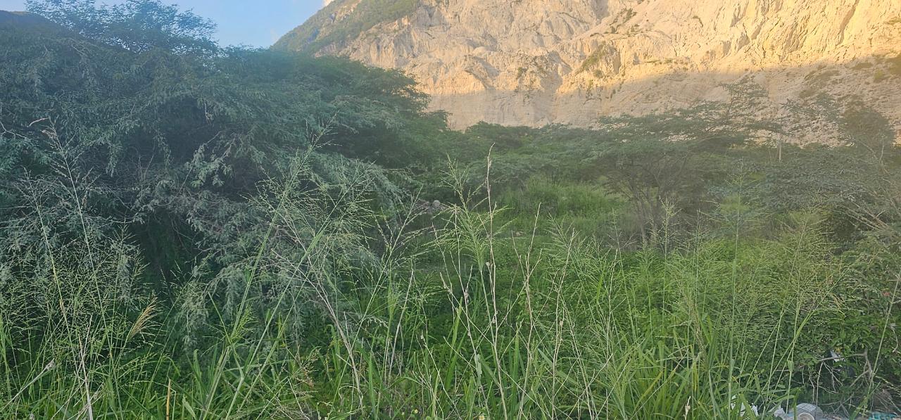 7 Acres of Prime Commercial Land for Sale in St. Andrew, Jamaica