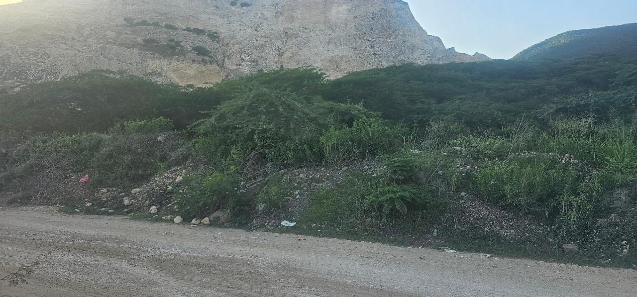 7 Acres of Prime Commercial Land for Sale in St. Andrew, Jamaica