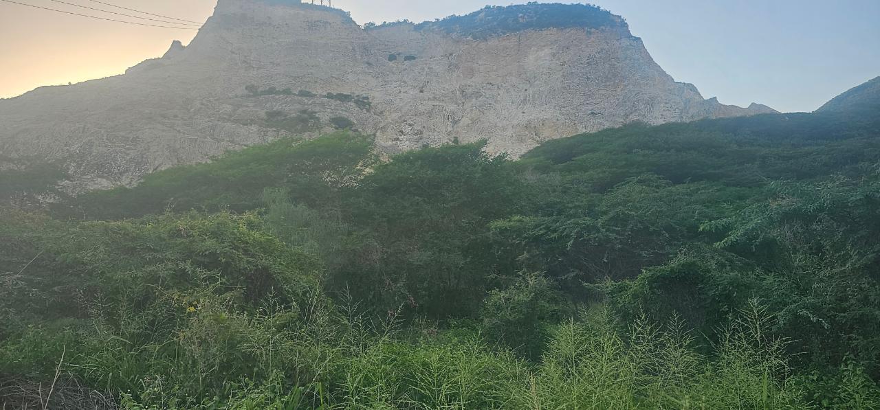 7 Acres of Prime Commercial Land for Sale in St. Andrew, Jamaica