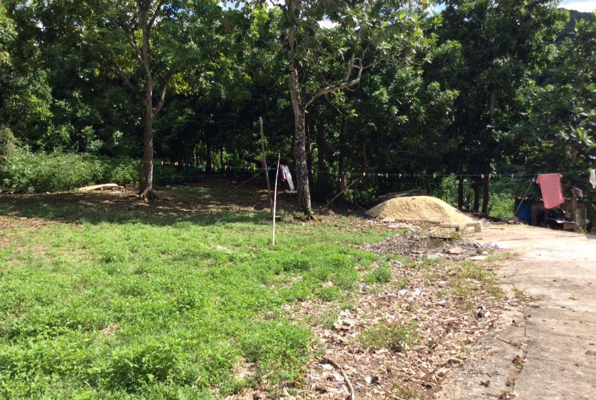 Second image of Bowerswood St. Catherine in Bog Walk, St. Catherine, Jamaica - property is For Sale