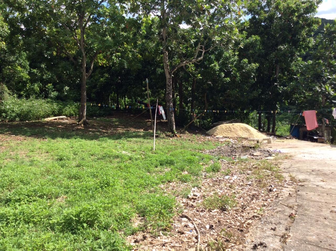 Second image of Bowerswood St. Catherine in Bog Walk, St. Catherine, Jamaica - property is For Sale