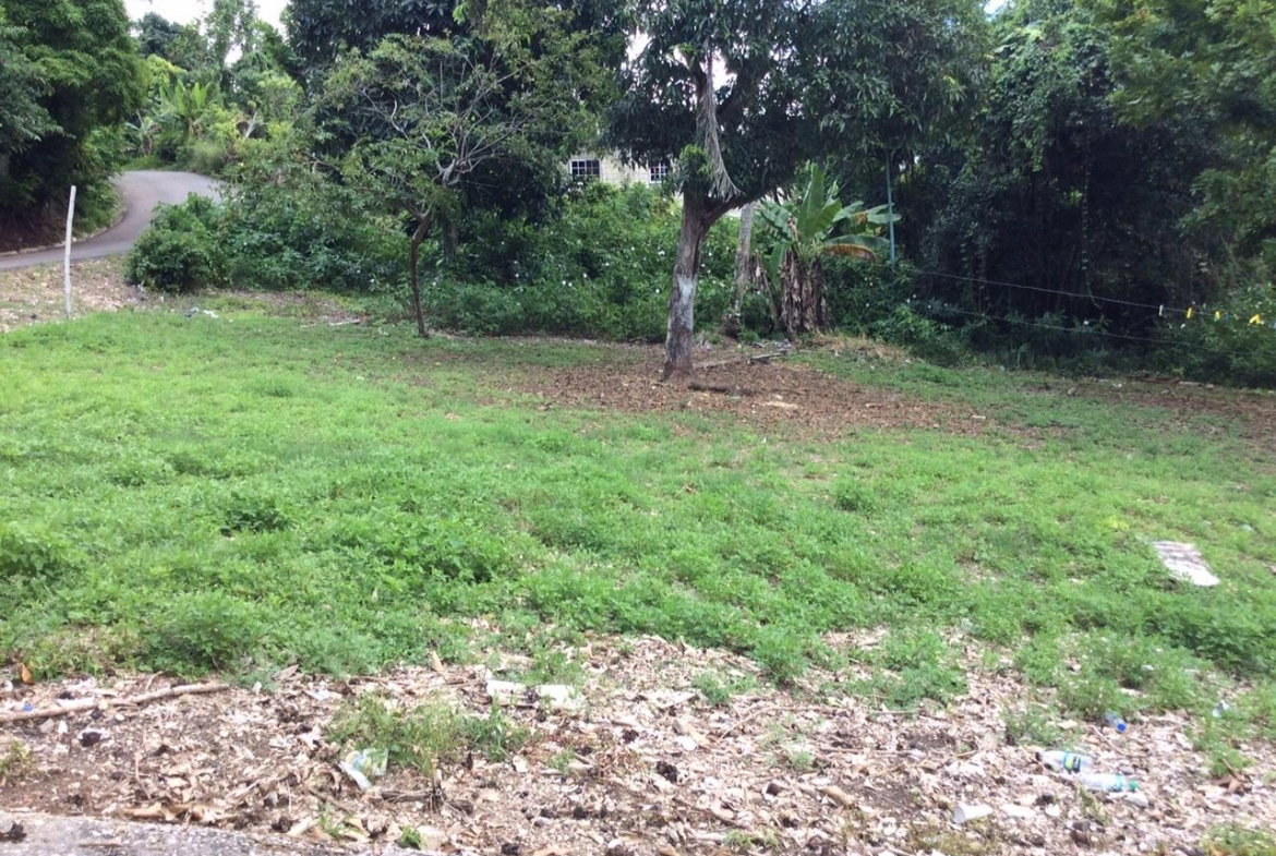Eleventh image of Bowerswood St. Catherine in Bog Walk, St. Catherine, Jamaica - property is For Sale