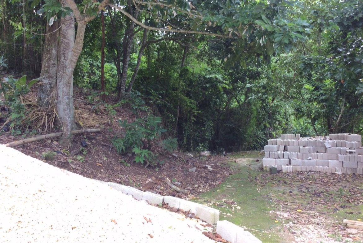 Thirteenth image of Bowerswood St. Catherine in Bog Walk, St. Catherine, Jamaica - property is For Sale