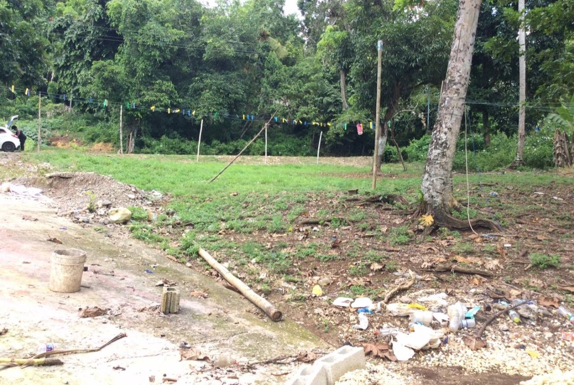 Fourteenth image of Bowerswood St. Catherine in Bog Walk, St. Catherine, Jamaica - property is For Sale