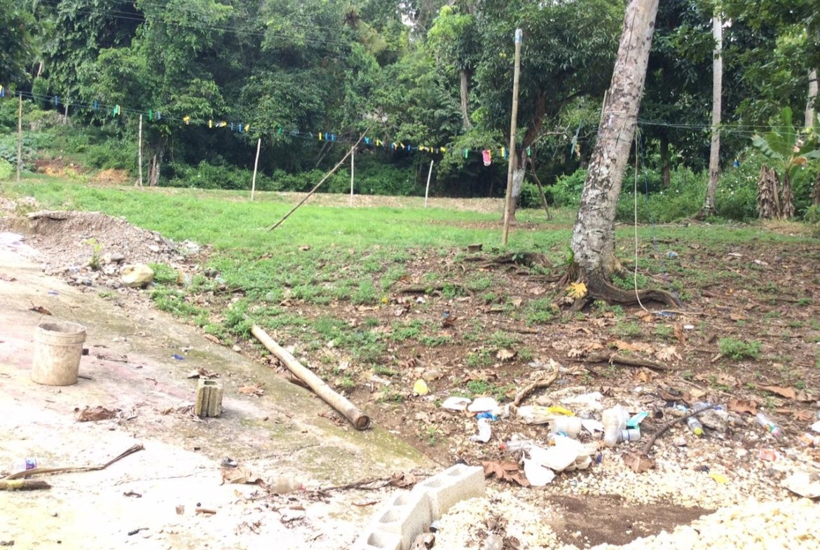 Fifteenth image of Bowerswood St. Catherine in Bog Walk, St. Catherine, Jamaica - property is For Sale