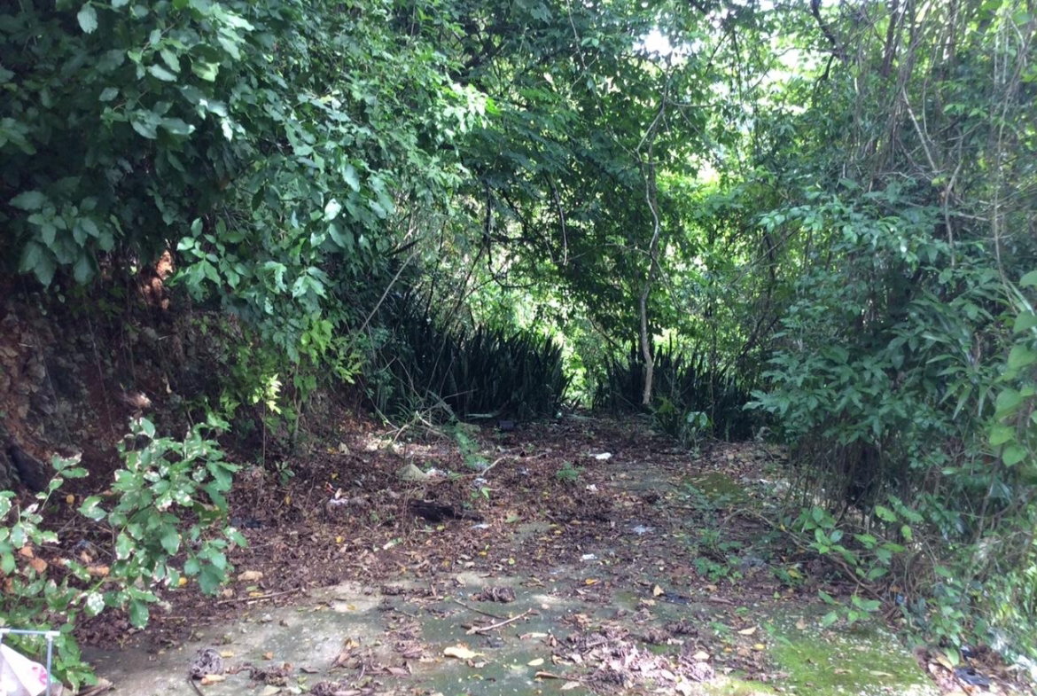 Sixteenth image of Bowerswood St. Catherine in Bog Walk, St. Catherine, Jamaica - property is For Sale