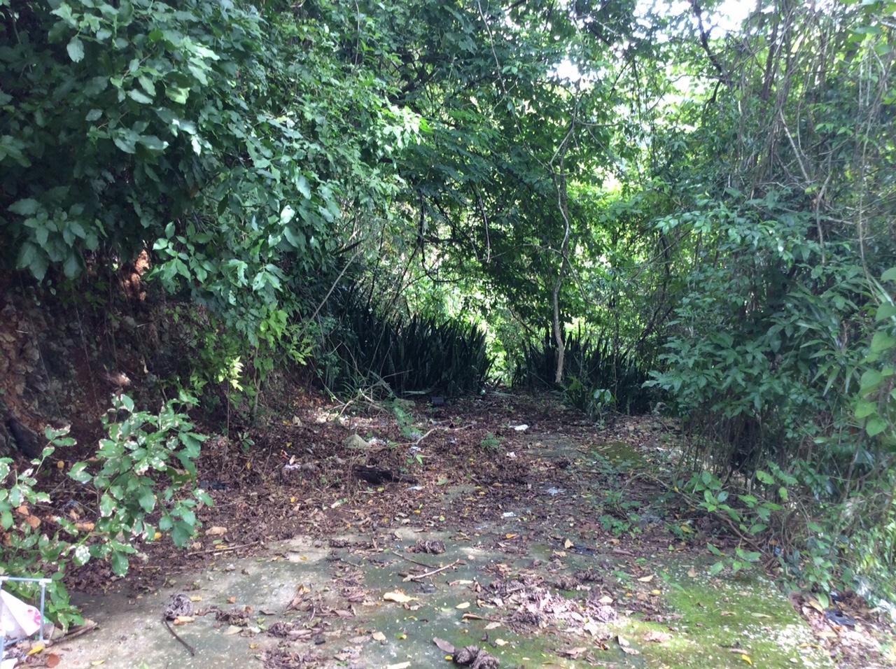 Sixteenth image of Bowerswood St. Catherine in Bog Walk, St. Catherine, Jamaica - property is For Sale