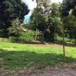 First image of Bowerswood St. Catherine in Bog Walk, St. Catherine, Jamaica - property is For Sale