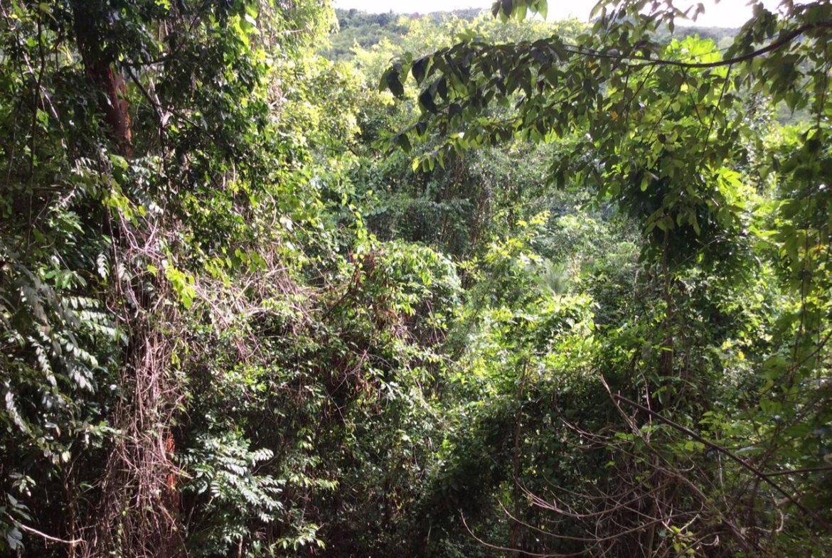 Seventeenth image of Bowerswood St. Catherine in Bog Walk, St. Catherine, Jamaica - property is For Sale