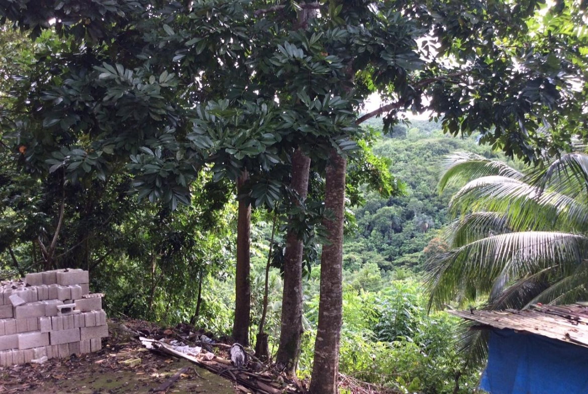 Nineteenth image of Bowerswood St. Catherine in Bog Walk, St. Catherine, Jamaica - property is For Sale