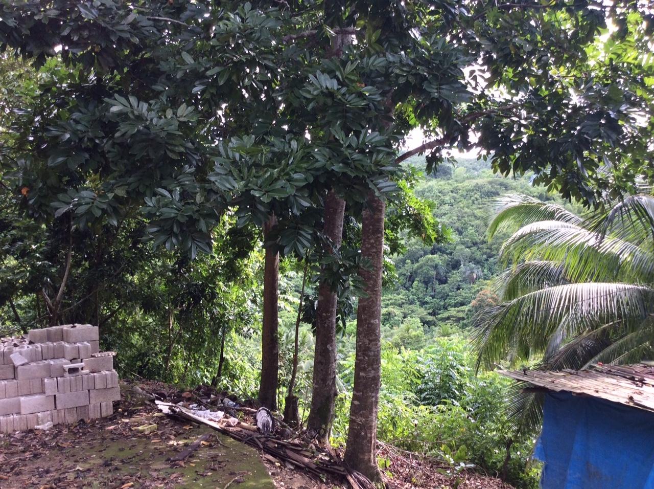 Nineteenth image of Bowerswood St. Catherine in Bog Walk, St. Catherine, Jamaica - property is For Sale