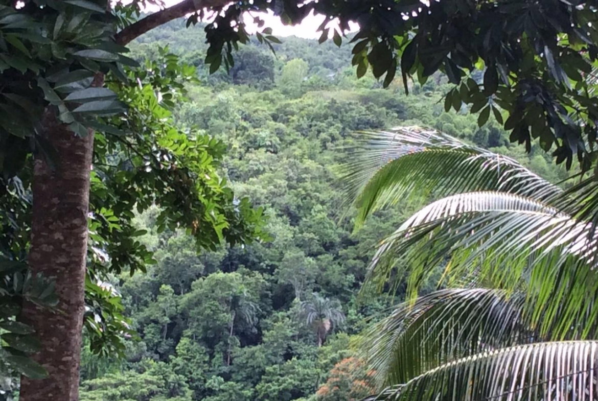 Twentieth image of Bowerswood St. Catherine in Bog Walk, St. Catherine, Jamaica - property is For Sale