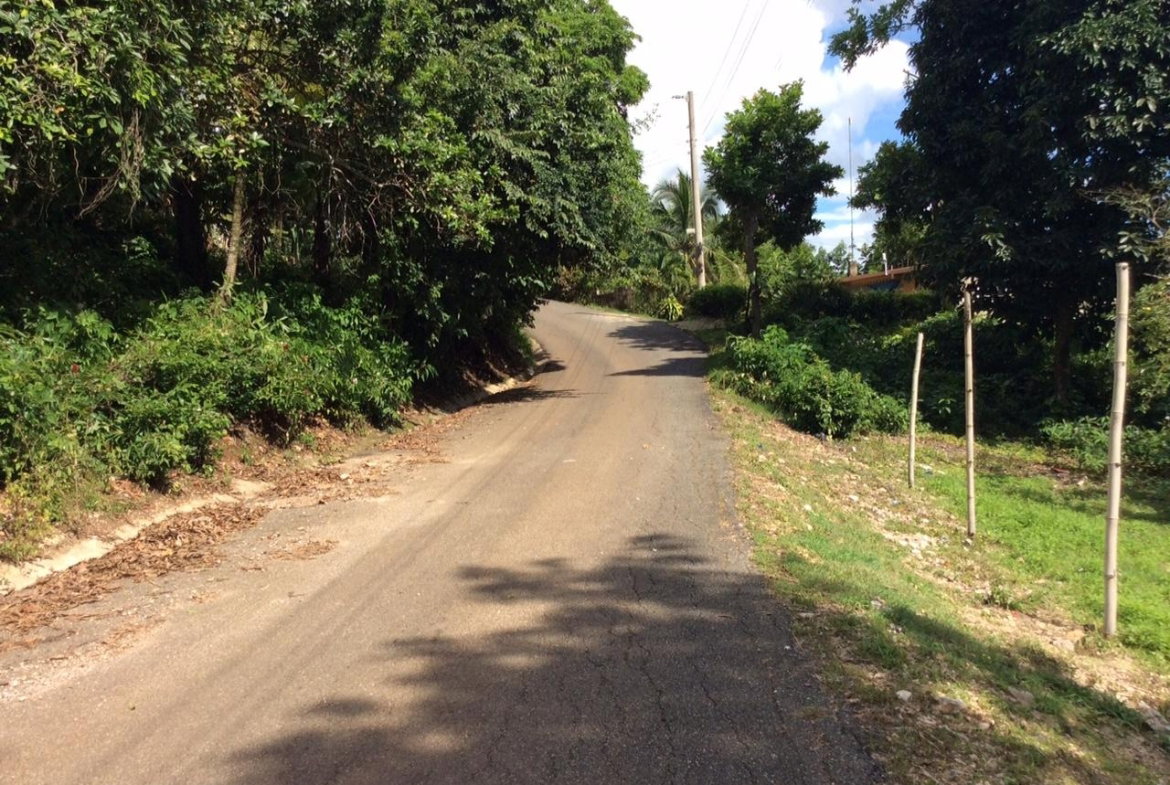 Third image of Bowerswood St. Catherine in Bog Walk, St. Catherine, Jamaica - property is For Sale
