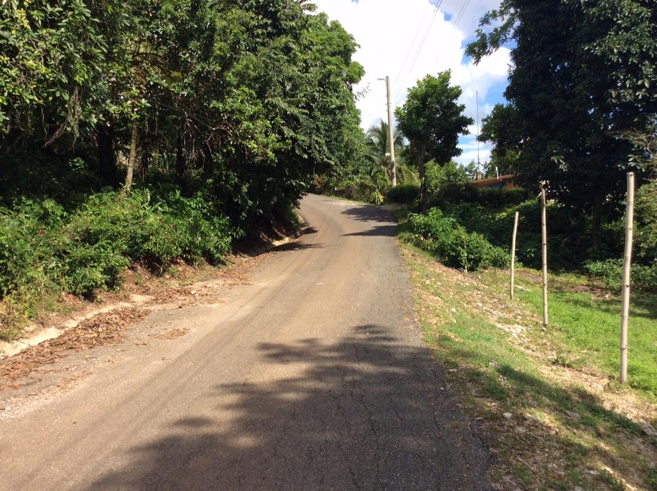 Third image of Bowerswood St. Catherine in Bog Walk, St. Catherine, Jamaica - property is For Sale