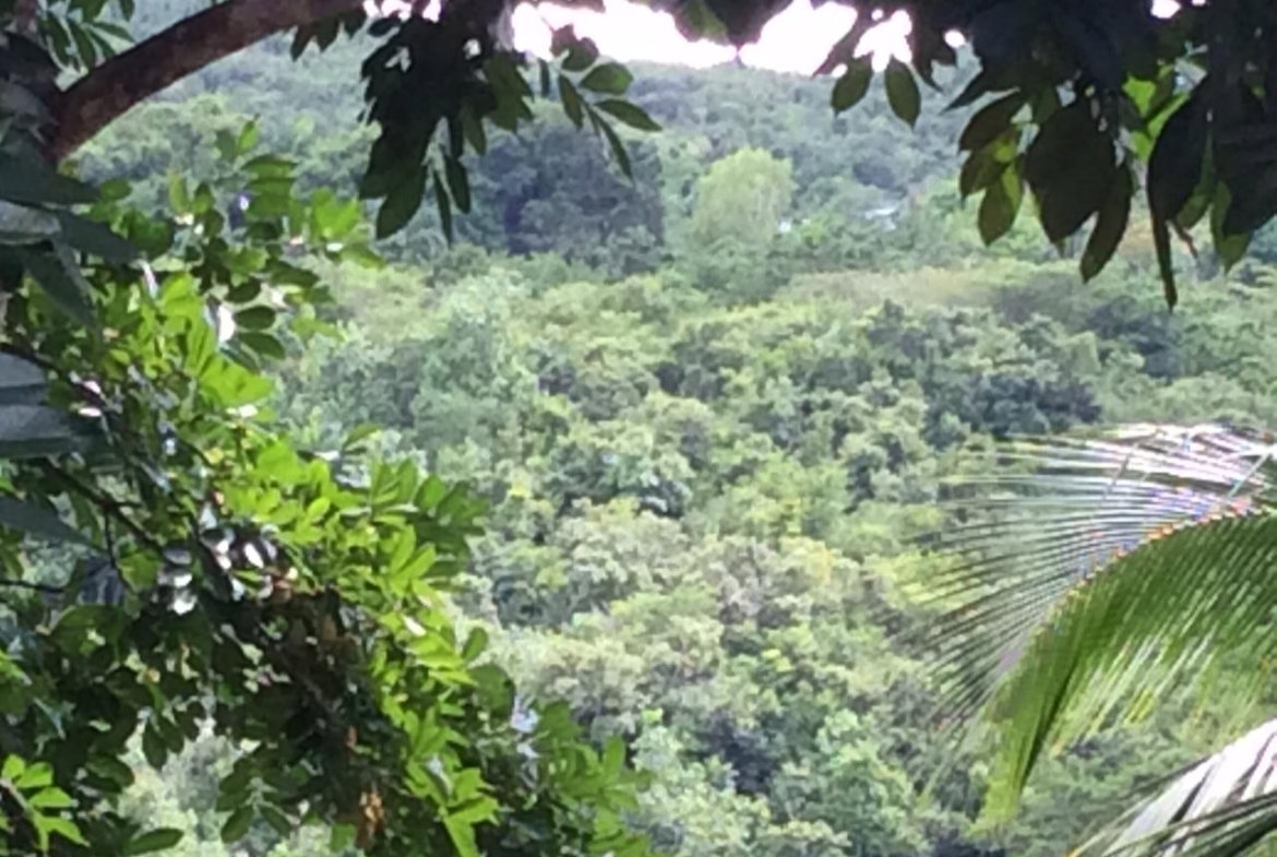 Twenty-First image of Bowerswood St. Catherine in Bog Walk, St. Catherine, Jamaica - property is For Sale