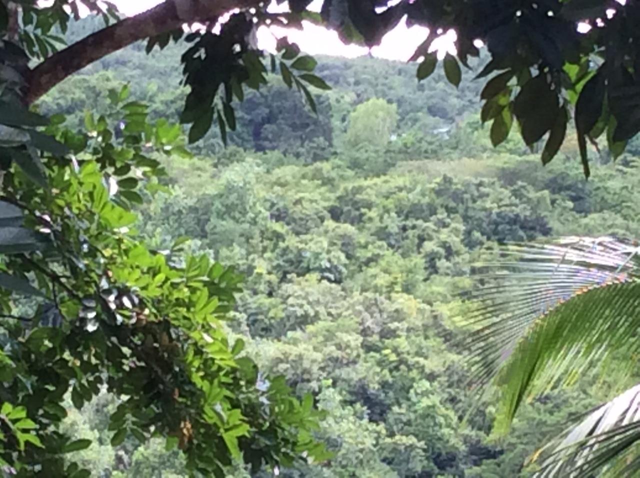 Twenty-First image of Bowerswood St. Catherine in Bog Walk, St. Catherine, Jamaica - property is For Sale