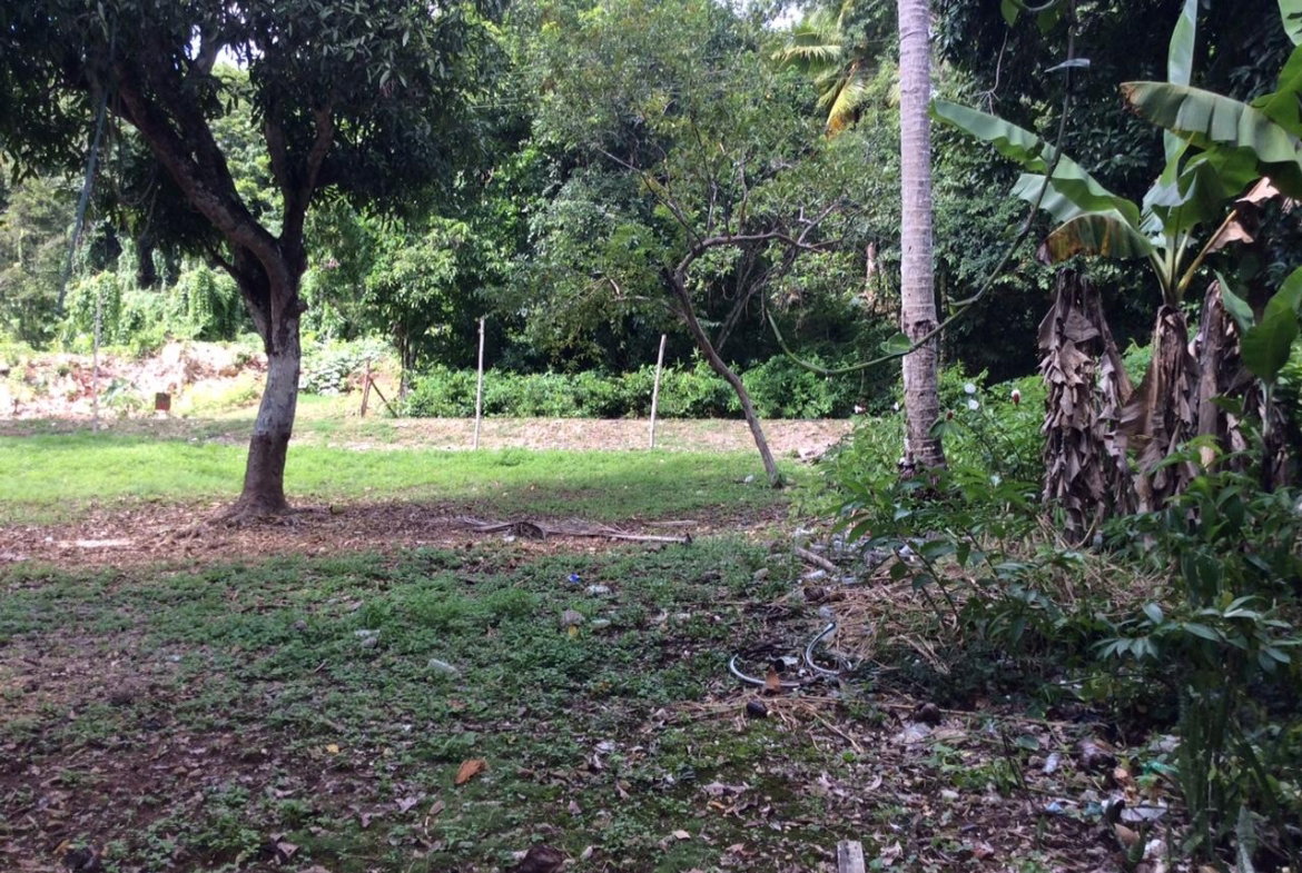 Twenty-Second image of Bowerswood St. Catherine in Bog Walk, St. Catherine, Jamaica - property is For Sale