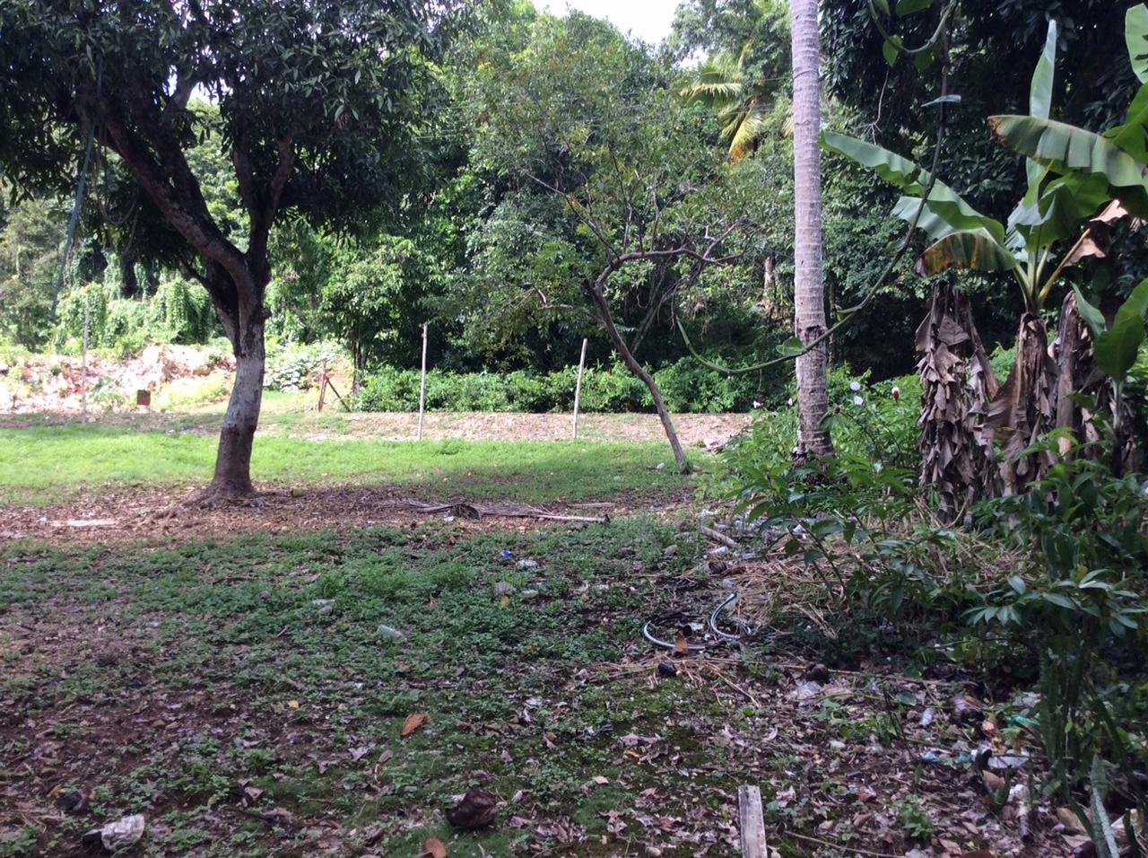 Twenty-Second image of Bowerswood St. Catherine in Bog Walk, St. Catherine, Jamaica - property is For Sale