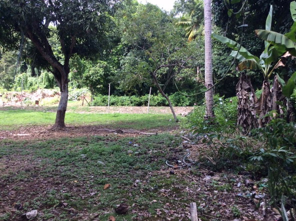 Twenty-Second image of Bowerswood St. Catherine in Bog Walk, St. Catherine, Jamaica - property is For Sale