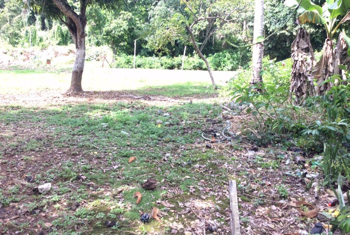 Twenty-Third image of Bowerswood St. Catherine in Bog Walk, St. Catherine, Jamaica - property is For Sale