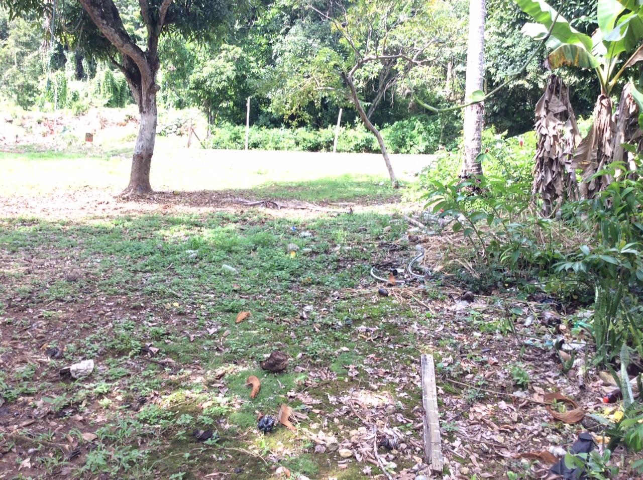 Twenty-Third image of Bowerswood St. Catherine in Bog Walk, St. Catherine, Jamaica - property is For Sale